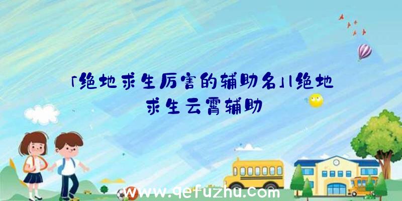 「绝地求生厉害的辅助名」|绝地求生云霄辅助